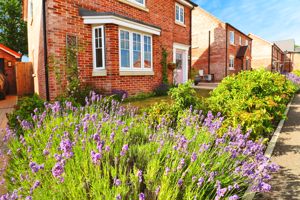 PUMP LANE- click for photo gallery